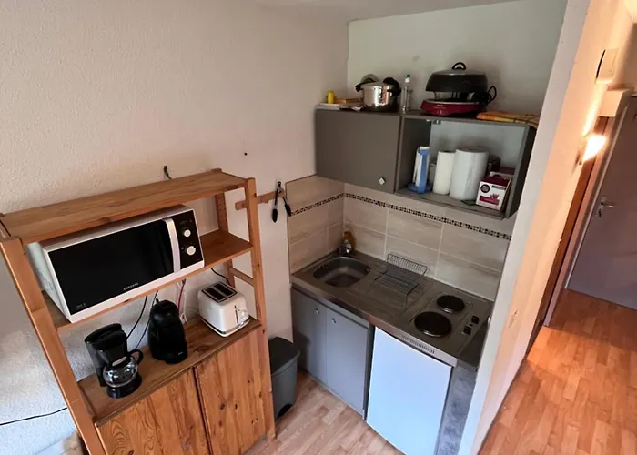 Au Pied Des Pistes Appartement Montferrier