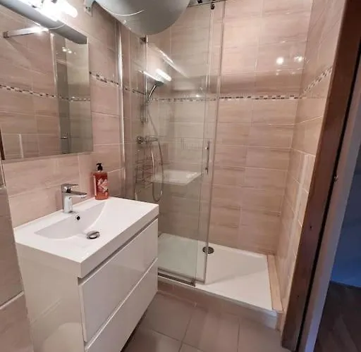 Appartement Au Pied Des Pistes