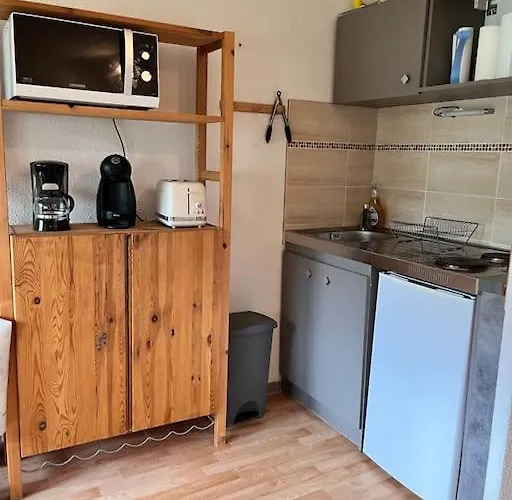 Au Pied Des Pistes Appartement Montferrier