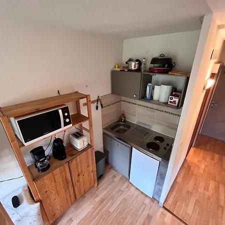 Au Pied Des Pistes Apartment Montferrier